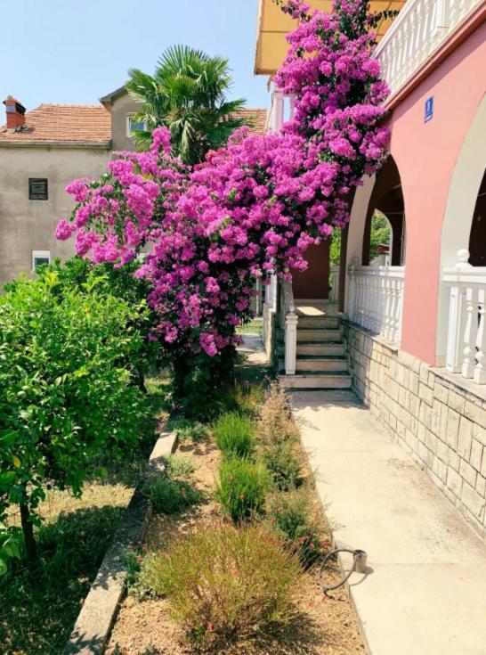 Peaceful, Cosy Tivat Guesthouse Exteriör bild